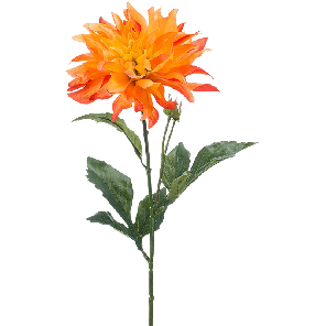 8ee421896png