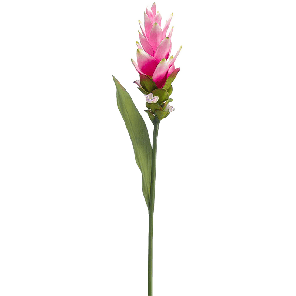 8ee424990png
