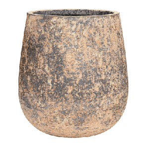 'darcy hoog bruin.png