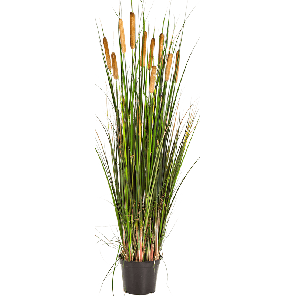 grass-cattail-kunstplant0a7e9fpng