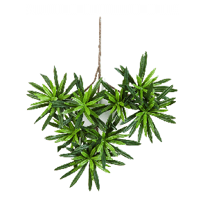 podocarpus-spray-kunstplant7f353fpng