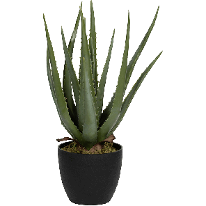 8ppz10105png