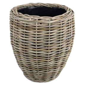 3 planten met pot_1.png