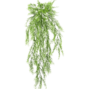 springeri-hanging-bush-75-cm3debcfpng