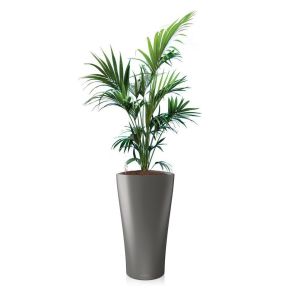 kentia-delta-pot-antraciet-matd95929jpg