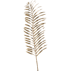8ee426440png