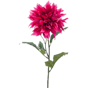 8ee4218981png