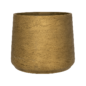 rugged-patt-goudpng