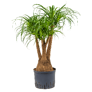 1berevt84png