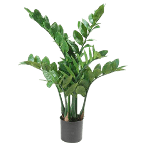 zamioculcas-kunstplant-70-cm20b5ffpng