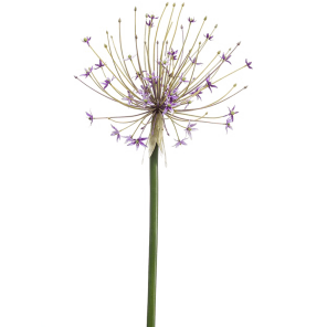 8ee425335png