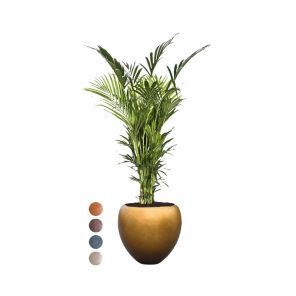 kentia-xxl-pot-honey-kleuren2c8598jpg