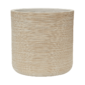 6DUNBE62B.png