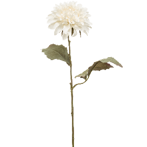 8ee426920png