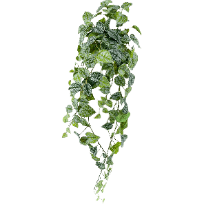 scindapsus-pictus-kunstplant-90-cmf3d513png