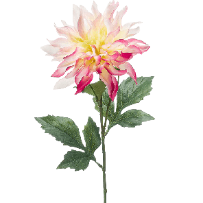 8ee421897png