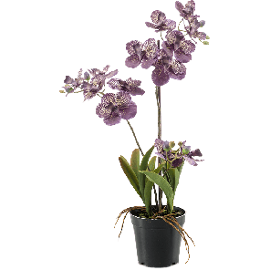 vanda-purple-kunstplant1e6d3bpng