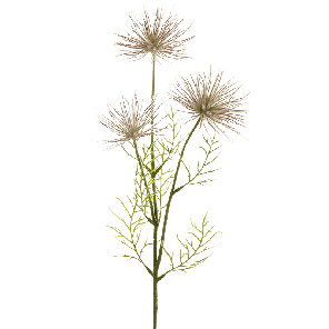 8ee417157png