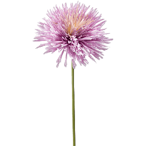 8ee426528png