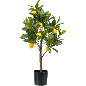 lemon-tree-kunstplantaecd69png