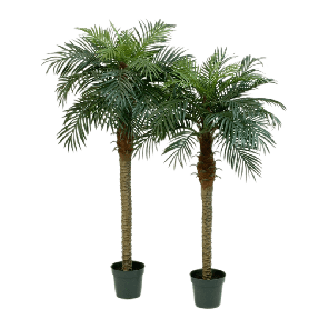 phoenix-palm-kunstplant081df4png