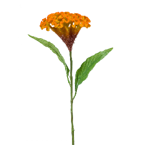 8ee425151png