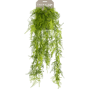 asparagus-plumoses-kunstplant4a8dd7png