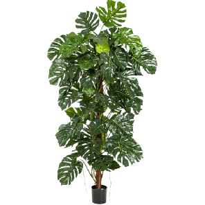 monstera-deliciosa-zuil-kunstplant-160-cmdd7220png