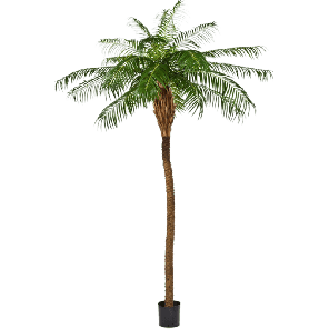 phoenix-palm-toef-kunstplant-225-cm5e6c16png