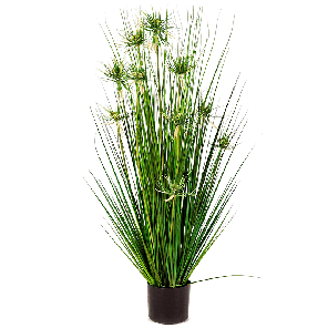 onion-star-grass-kunstplant39f3b5png