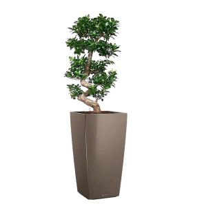 bonsai-cubico-pot-tauped13b9cjpg