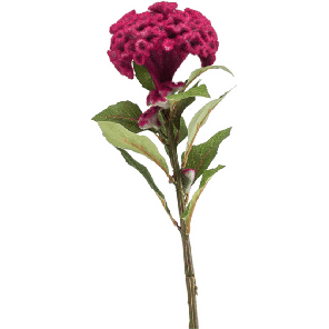 8EE424720.png