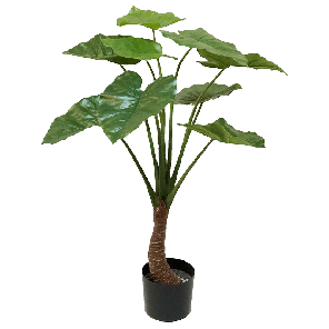 8EE424945 (2).png