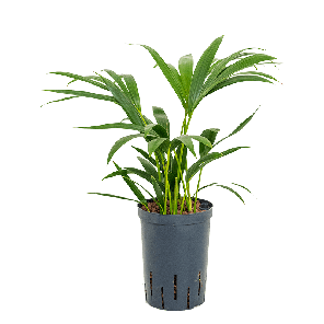 1kefo3t06png