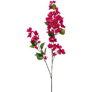 8ee425166png