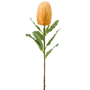 8ee425365png