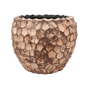 facets20into20coco20couple201png