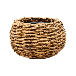 abaca 30.png