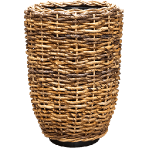 abaca partner.png