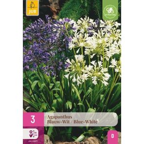 agapanthus blauw-wit.jpg