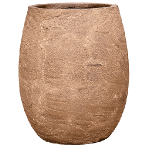 Algar Balloon Bruin.png