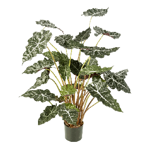 alocasia-polly-kunstplant_68d920.png