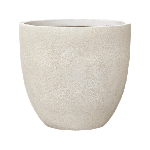 Antwerp Couple Beige.png