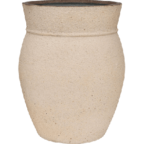 apolla sahara.png
