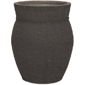 apollo bruin.png