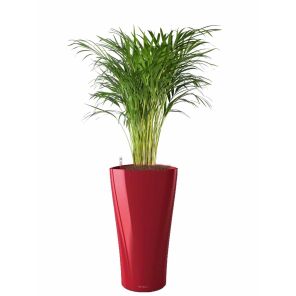 areca-delta-pot-rood_4ce4bc.jpg