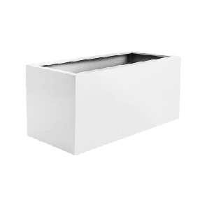 argento box wit.png