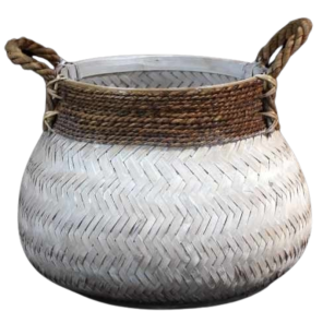 Bamboe (3).png