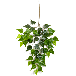 Birch spray PNG.png