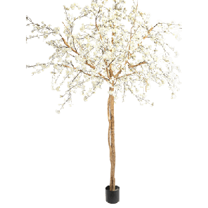 bloesemboom creme.png
